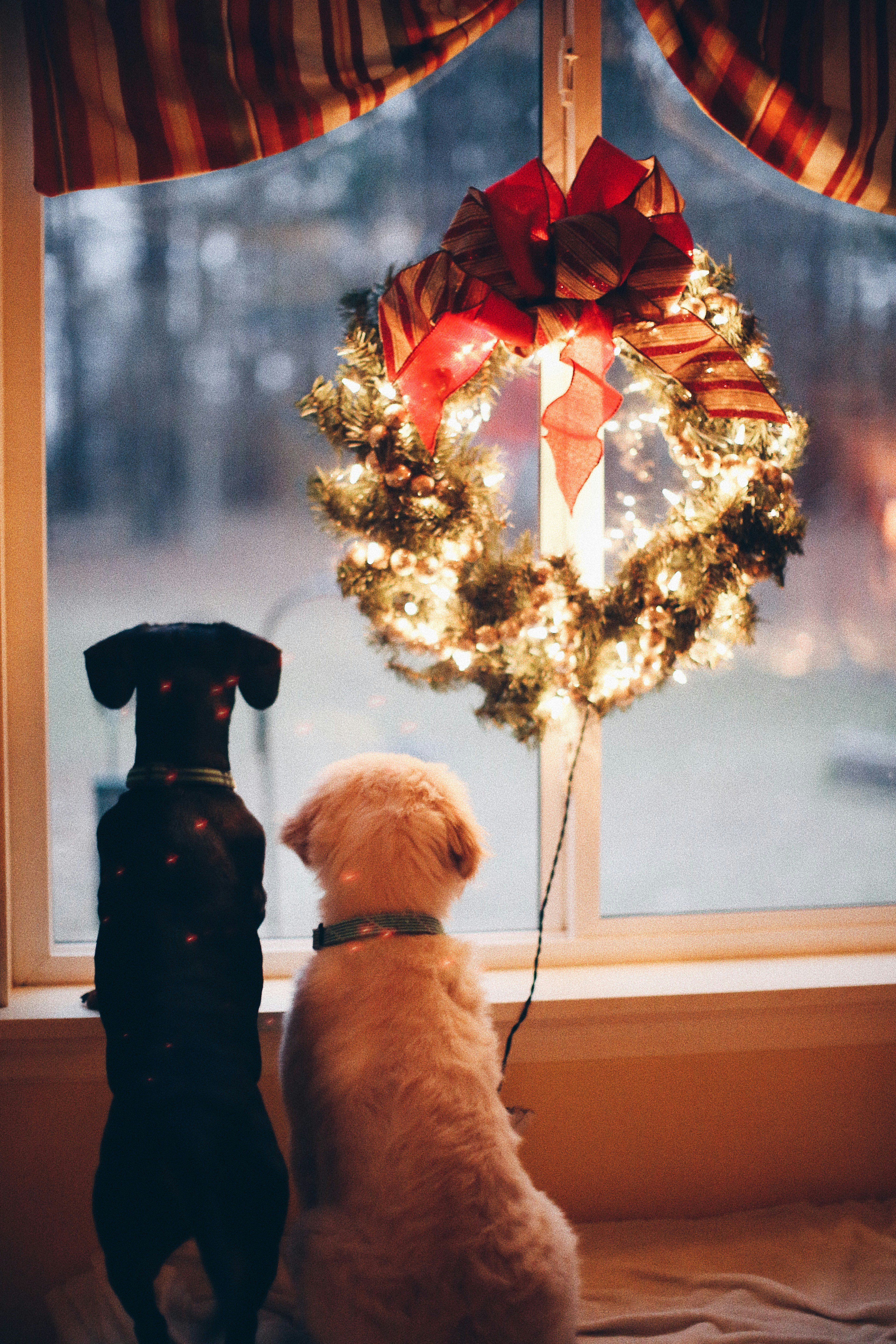 Natale in famiglia: decorazioni fai da te per tutt