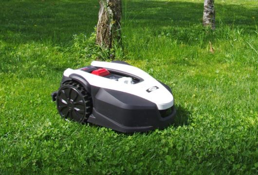 Per un giardino perfetto, scegli Freemow