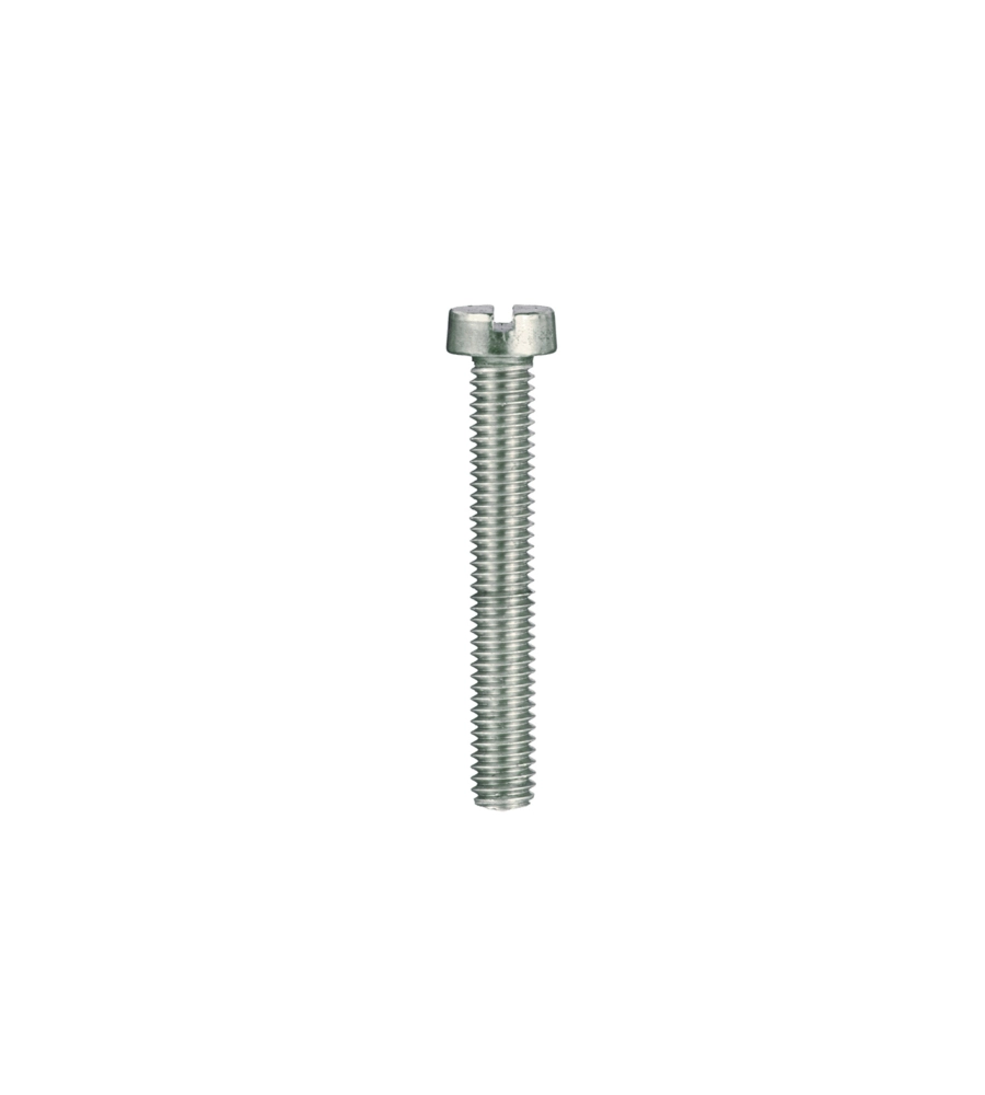 Viti per metallo testa cilindrica inox 6 x 70 - 2 pz.