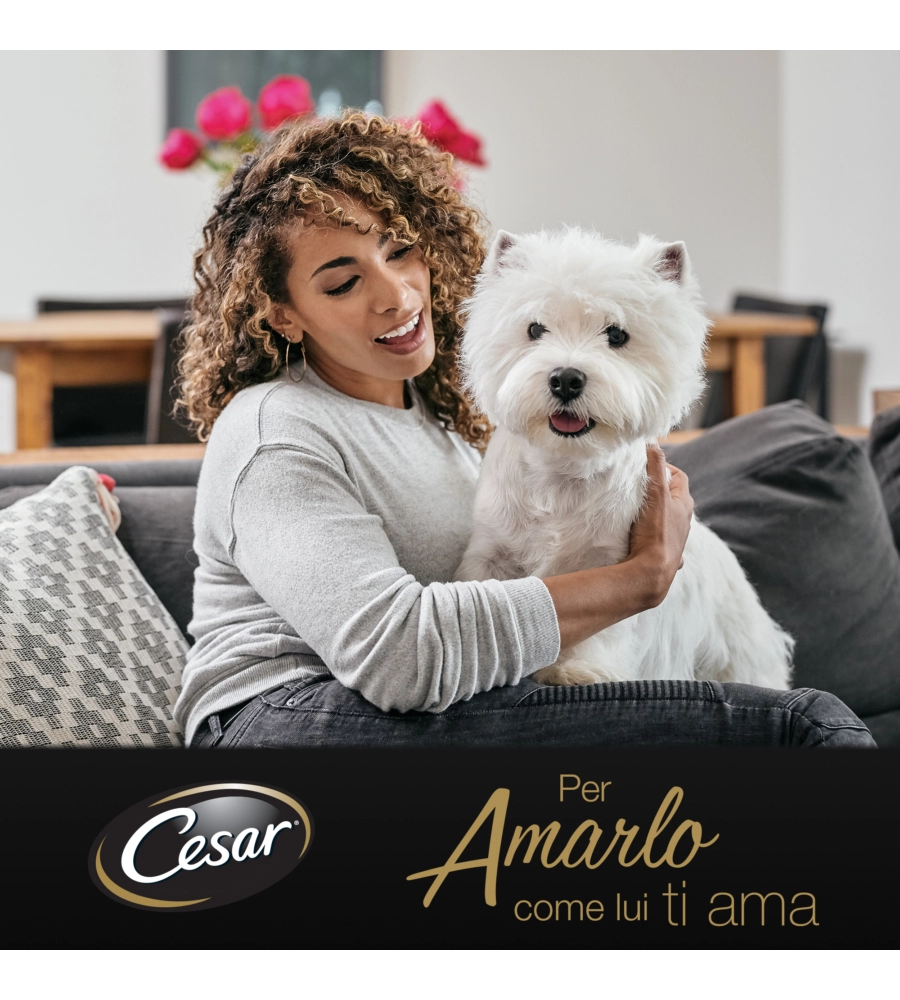 Cesar - umido per cani pollo e carotine 150 gr