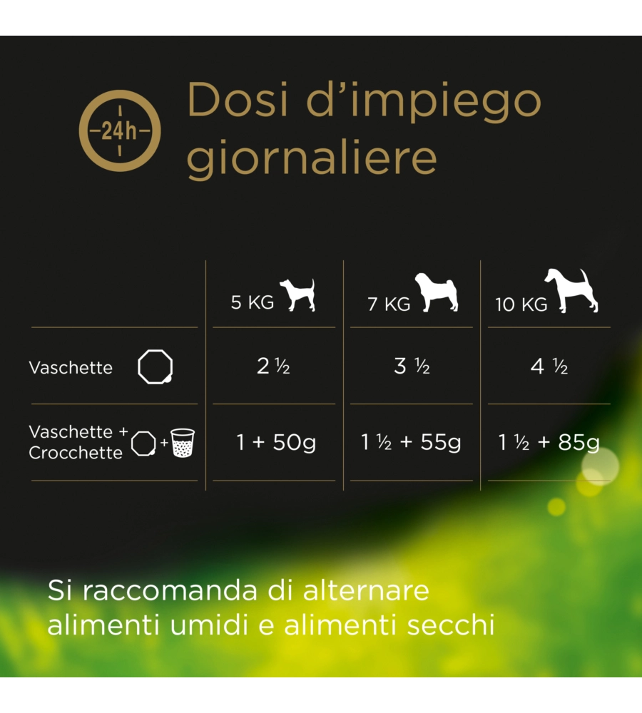 Cesar - umido per cani pollo e carotine 150 gr