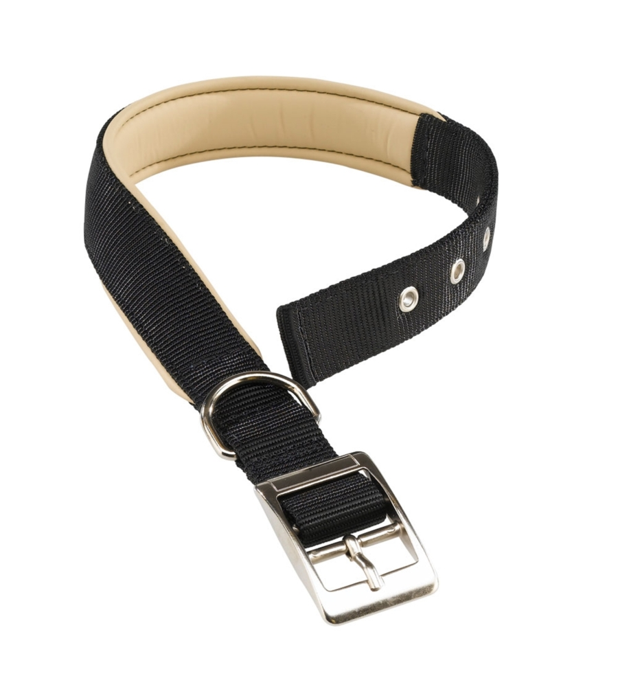 Collare in nylon imbottito per cane modello daytona nycs470 di colore nero.