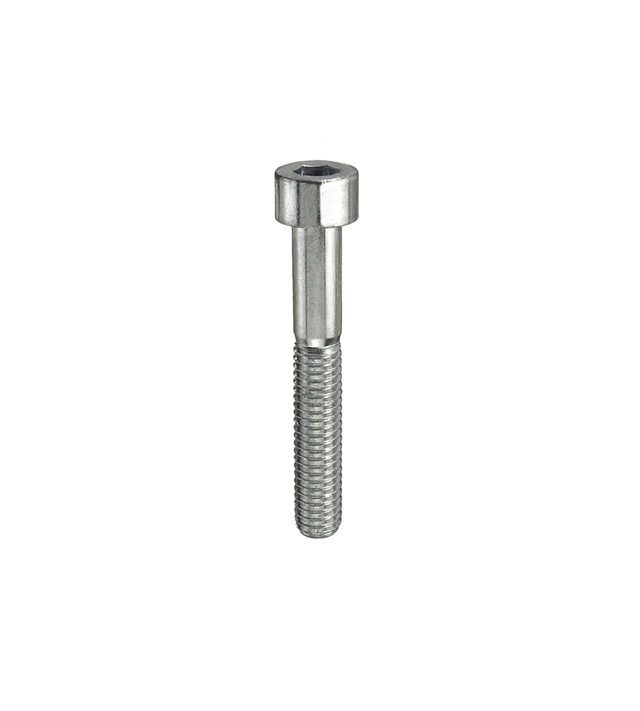 Viti testa cilindrica eagono incassato m3 x 25 - 30 pz.