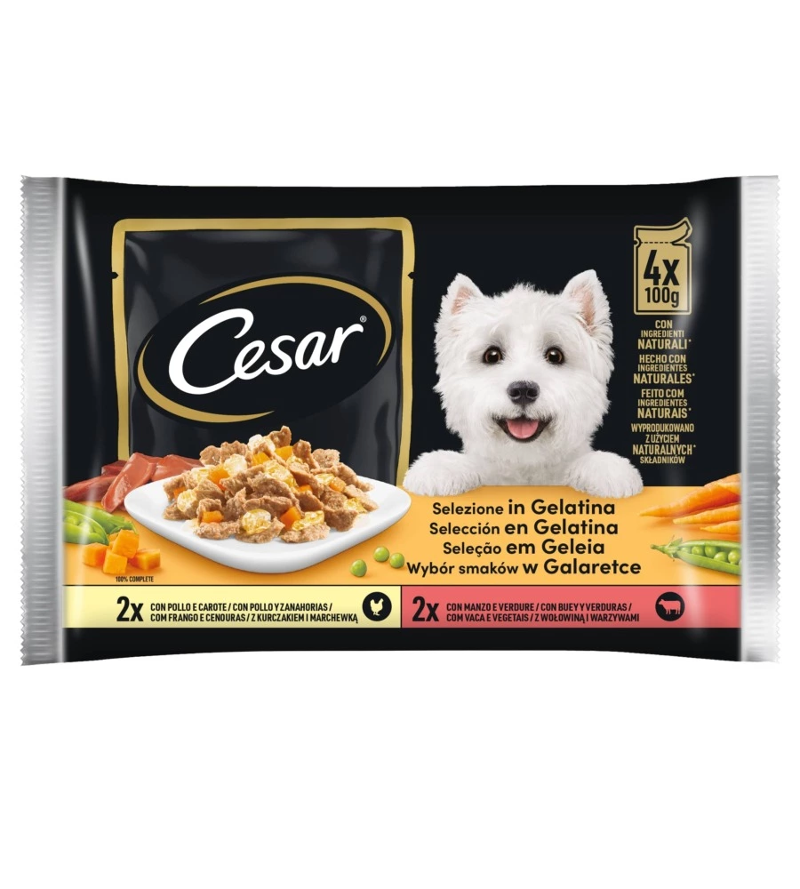 Cesar - umido per cani in gelatina, 4 pz