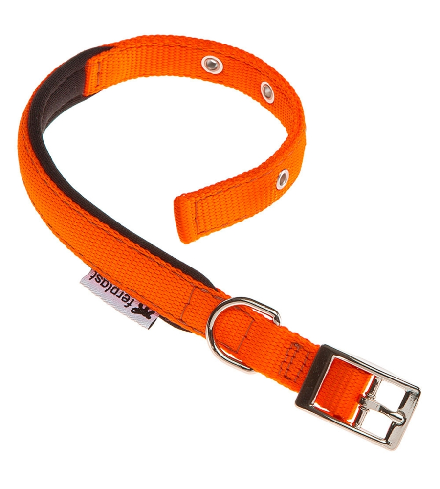 Collare in nylon modello c15/35 imbottito per cane - arancio.