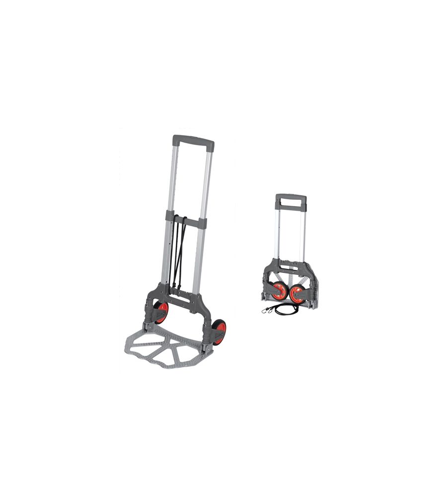 Carrello pieghevole con portata di 80 kg - ribimex.