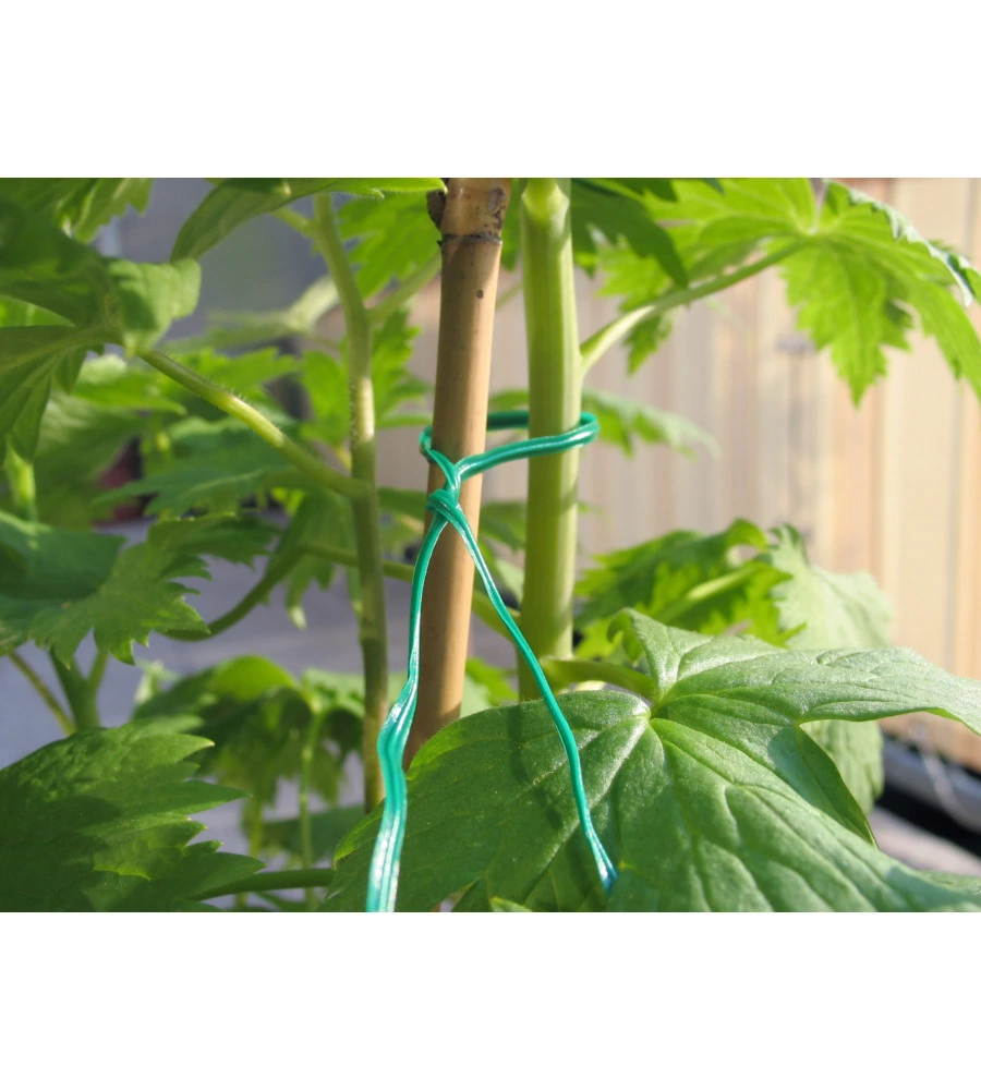 Filo per giardinaggio in ferro plastificato, verde, 100 metri