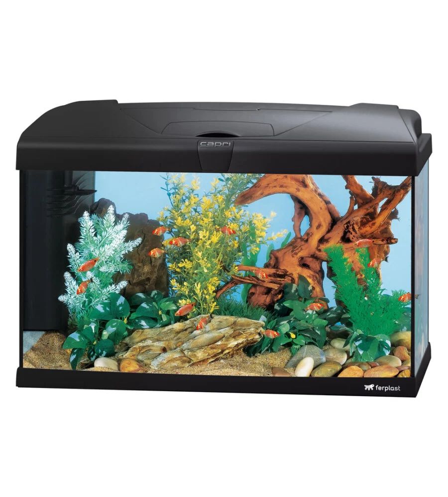 Acquario capri 60 nero con led - 60 x 31.5 x h 39.5 cm, 60 l - ferplast