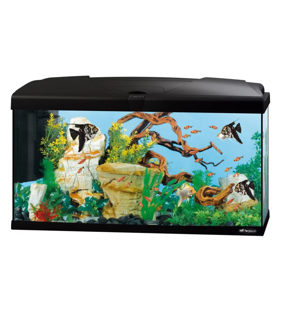 Acquario capri 80 nero con led - 80 x 31.5 x h 46.5 cm, 100 l - ferplast