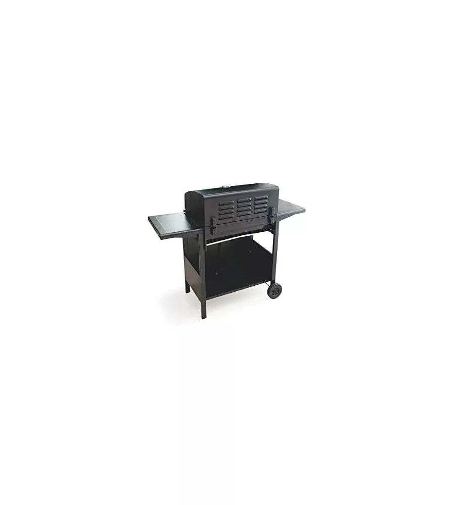 Barbecue a gas con 4 fuochi 12kw