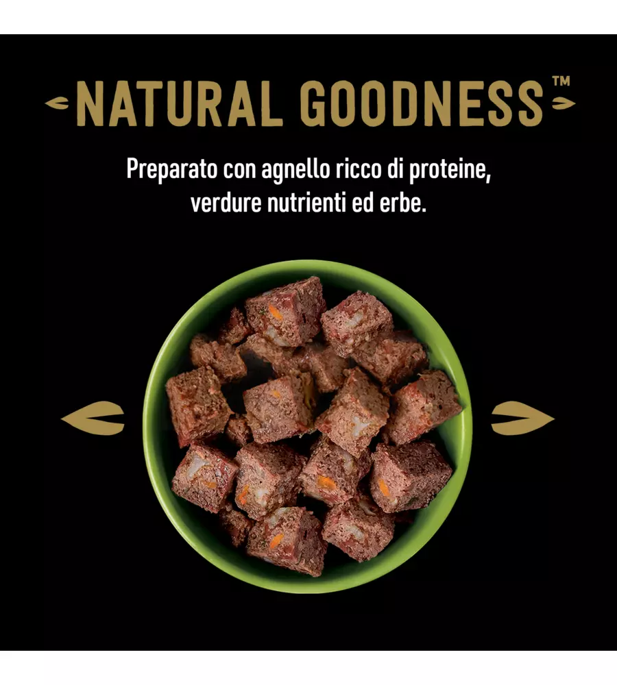 Cesar - umido per cani agnello e carote 400 gr