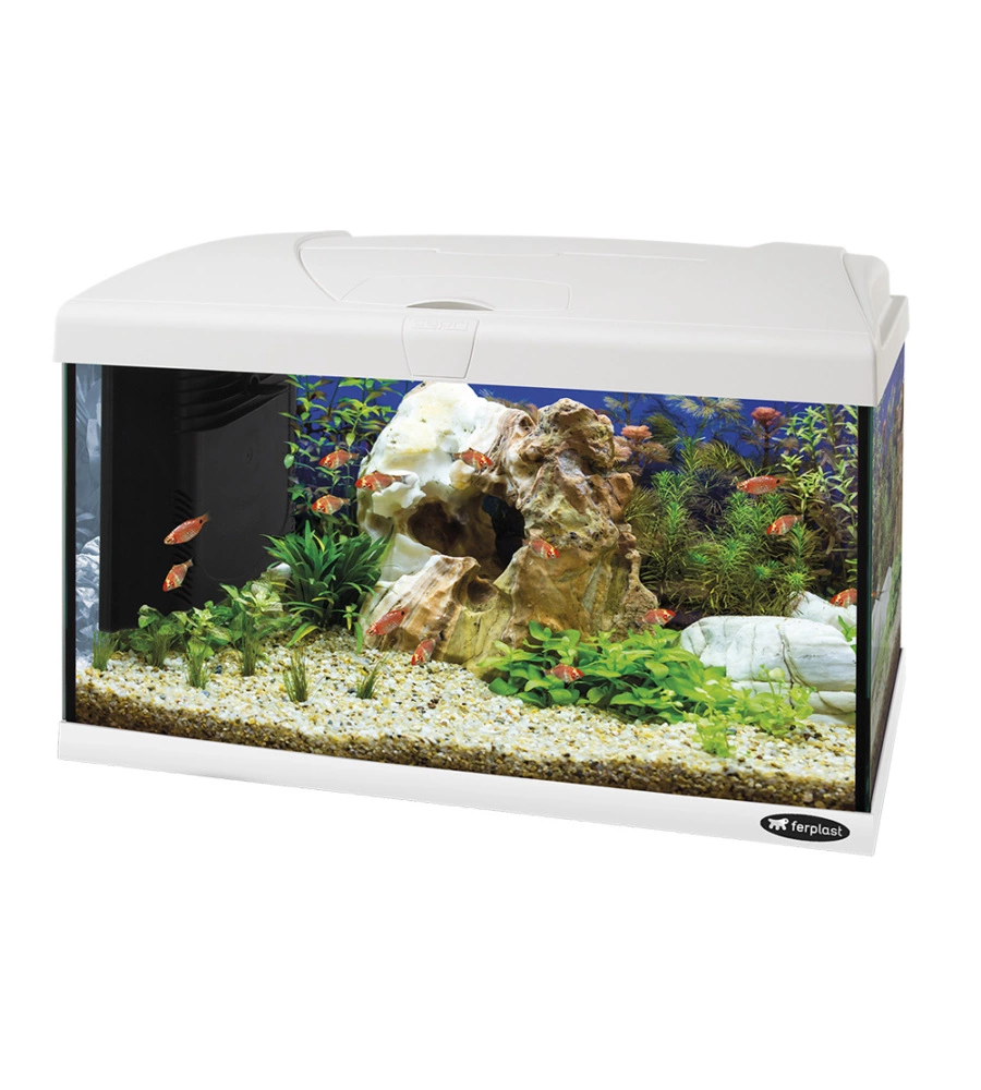 Acquario capri 60 bianco con led - 60 x 31.5 x h 39.5 cm, 60 l - ferplast