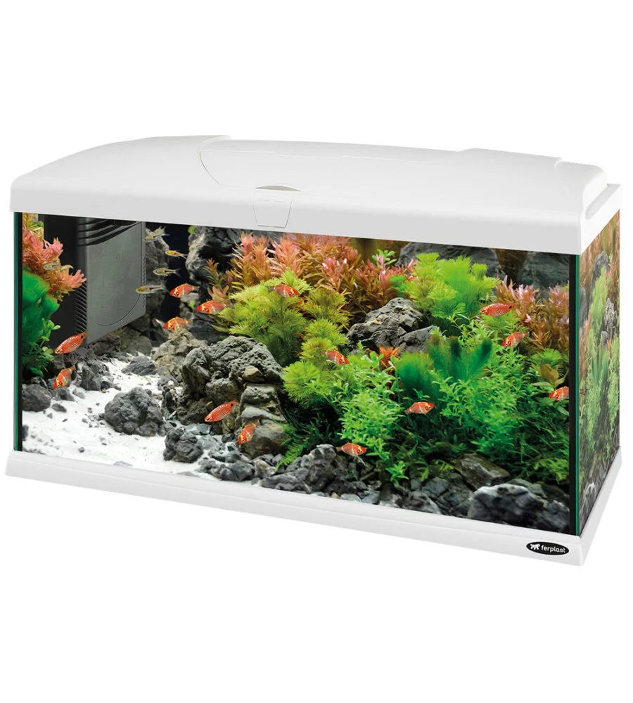 Acquario capri 80 bianco con led - 80 x 31.5 x h 46.5 cm, 100 l - ferplast