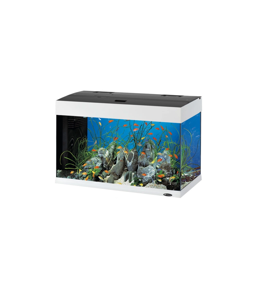 Acquario dubai 80 bianco con led - 81 x 36 x h 51 cm, 125 l - ferplast