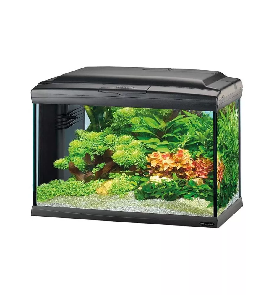 Acquario cayman 40 classic nero - 62,5 x 34,5 x h 45,5 cm - 75 l - ferplast