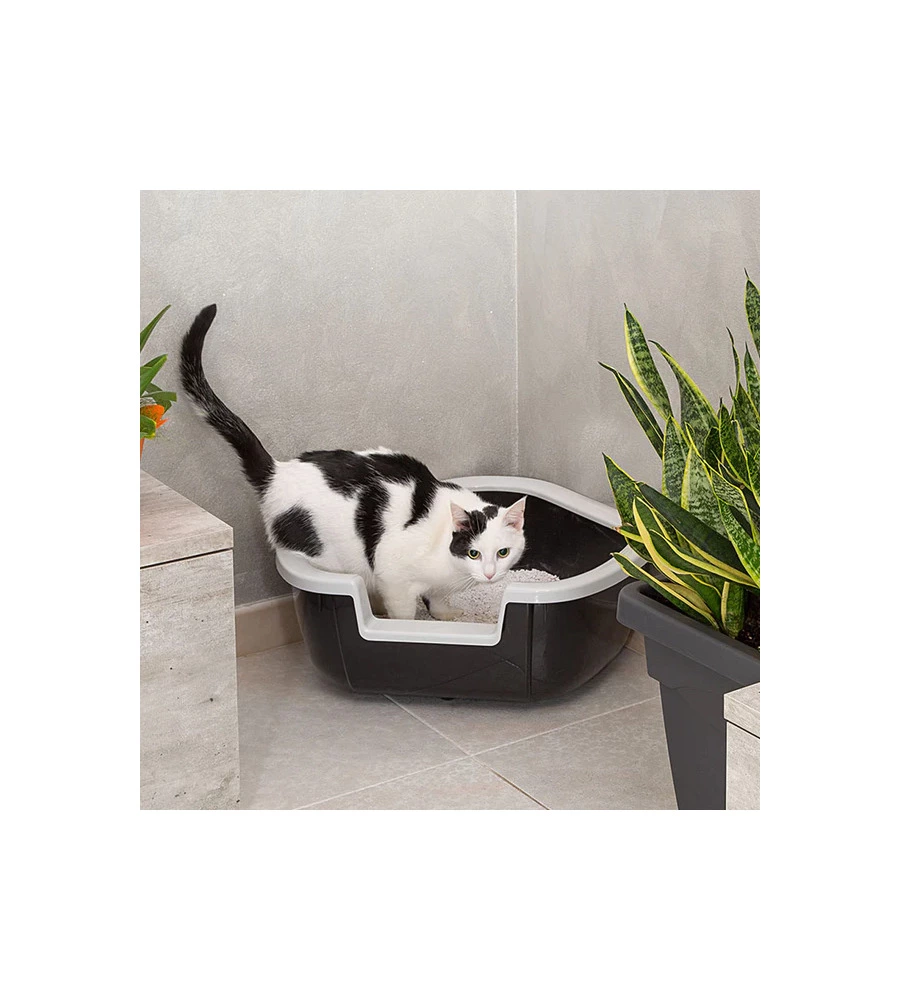 Lettiera toilette gatto angolare aperta ferplast "dama" nero 57,5x51,5x22 cm