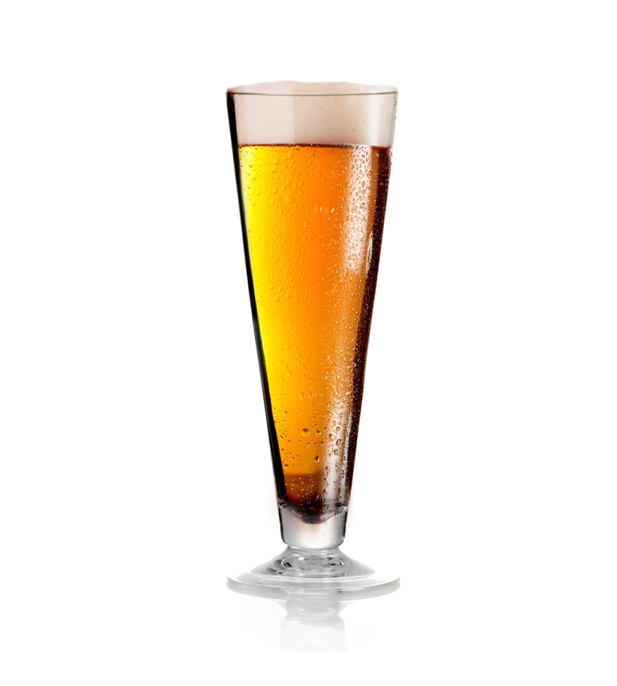 Set 2 bicchieri per birra brunner "beerglass pilsner" in policarbonato 44 cl