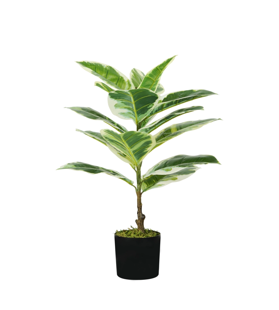 Pianta di ficus elastica in polietilene con 15 foglie, 65 cm