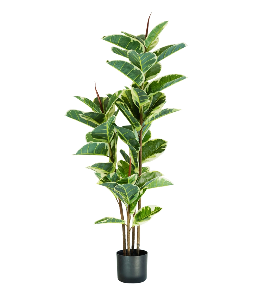 Pianta di ficus elastica in polietilene con 54 foglie, 145 cm