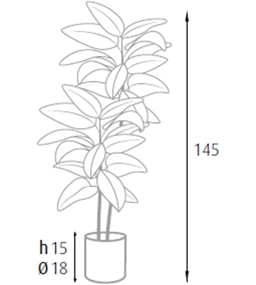 Pianta di ficus elastica in polietilene con 54 foglie, 145 cm