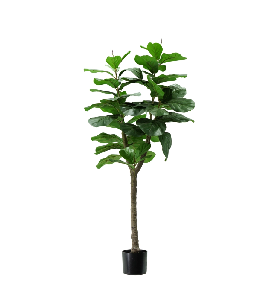 Pianta di ficus lyrata in polietilene con 60 foglie, 130 cm