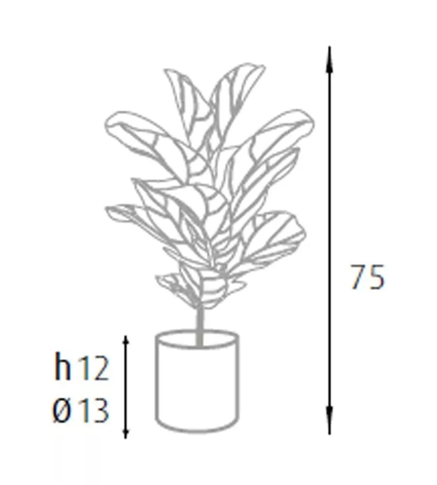 Pianta di ficus lyrata in polietilene con 21 foglie, 75 cm