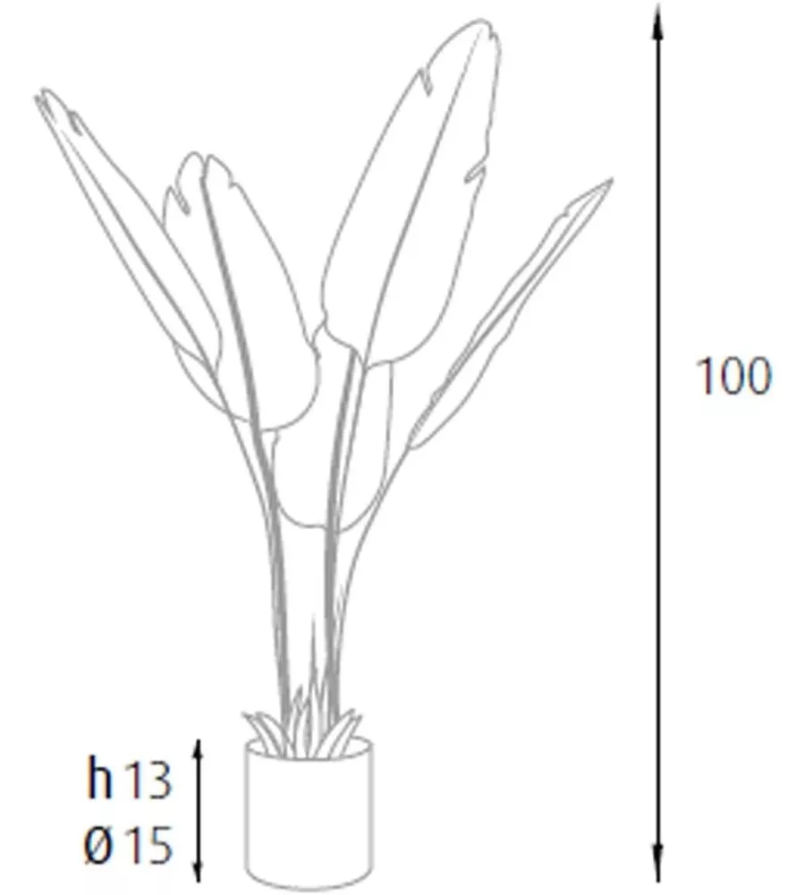 Pianta strelitzia in polietilene con 5 foglie, 100 cm