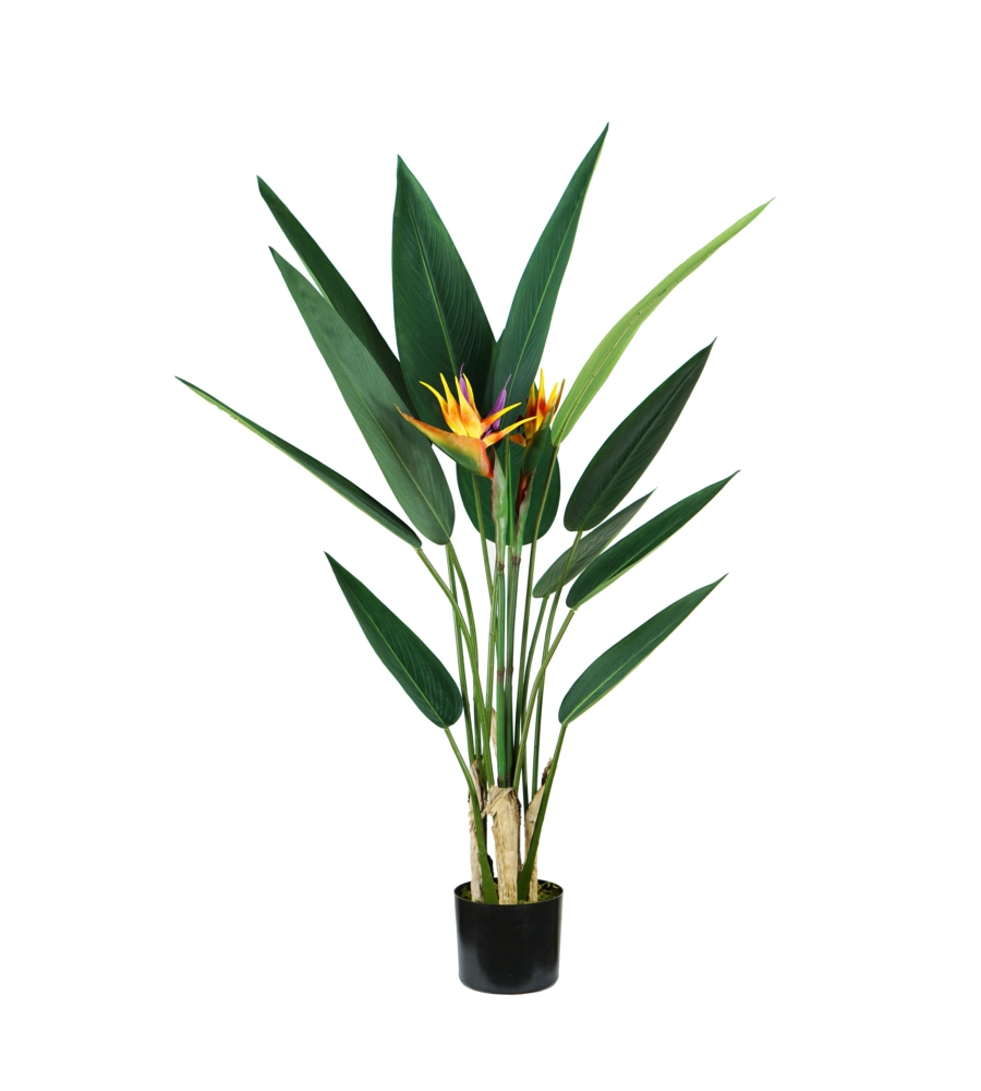 Pianta strelitzia in polietilene con 12 foglie e 2 fiori, 120 cm