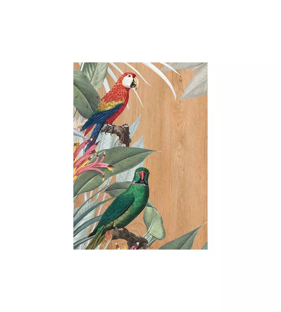 Quadro in legno "red & green parrot", 47x67 cm