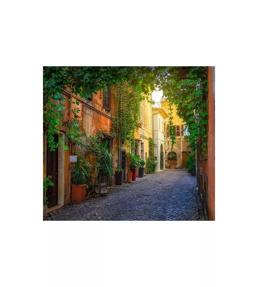 Fotomurale adesivo "trastevere" in pvc, 312x280 cm