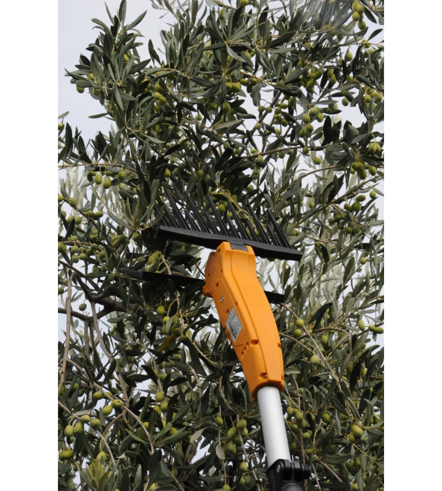 Abbacchiatore olive elettrico a batteria volpi originale "dualcomb" movimento oscillatorio verticale 12v + asta telescopica 2-2,9 mt