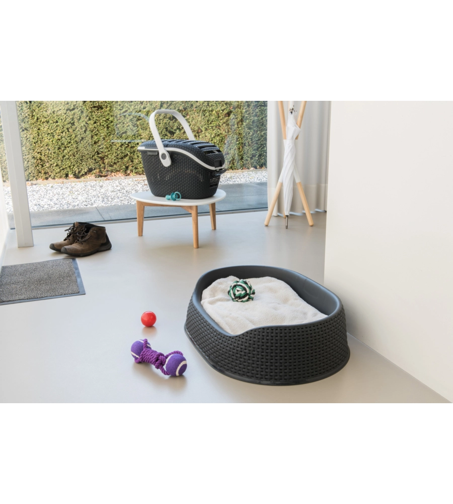 Trasportino per gatti keter "pet carrier" in resina colore antracite, 51x38x33 cm