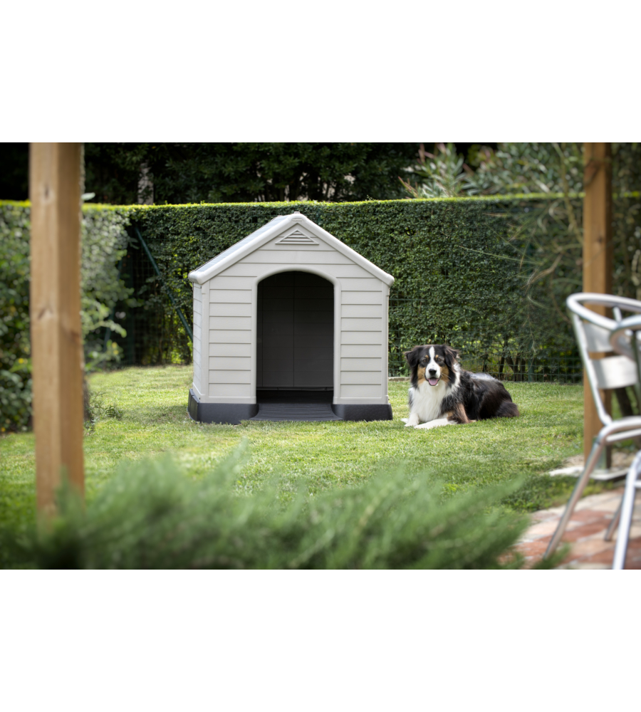 Cuccia per cani da esterno keter "dog house" in resina colore beige, 99x95x99 cm