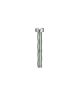 Viti per metallo testa cilindrica inox 6 x 70 - 2 pz.