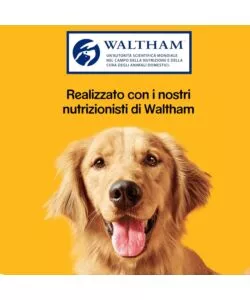 Biscotti per cani pedigree "biscrok multi mix" adulto di tutte le taglie con vitamine, calcio e omerga 3 500 gr