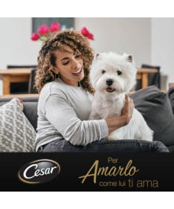 Cesar - umido per cani pollo e carotine 150 gr