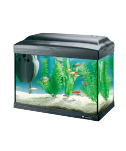 Acquario cayman 40 classic nero - 41,5 x 21,5 x h 34 cm - 21 l - ferplast