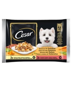 Cesar - umido per cani in gelatina, 4 pz