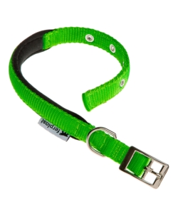 Collare in nylon modello c20/43 imbottito per cane in colore verde.