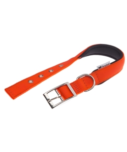 Collare in nylon mod. c25/45 imbottito per cane in colorazione arancione.