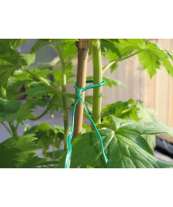 Filo per giardinaggio in ferro plastificato, verde, 100 metri