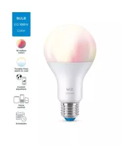 Lampadina smart philips smart led a67, 1521 lm