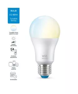 Lampadina smart philips smart led a60, 806 lm