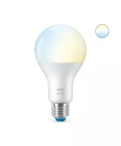 Lampadina smart philips smart led a67, 1521 lm