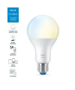 Lampadina smart philips smart led a67, 1521 lm