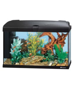 Acquario capri 60 nero con led - 60 x 31.5 x h 39.5 cm, 60 l - ferplast