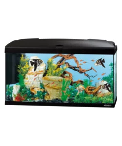 Acquario capri 80 nero con led - 80 x 31.5 x h 46.5 cm, 100 l - ferplast