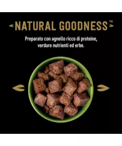 Cesar - umido per cani agnello e carote 400 gr