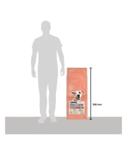 Crocchette per cani purina 'dog chow' adulto di tutte le taglie con salmone 14 kg