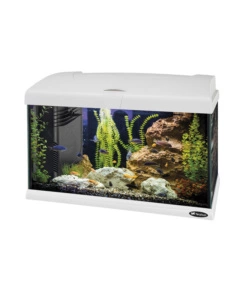 Acquario capri 50 bianco con led - 52 x 27 x h 36 cm, 40 l - ferplast